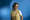 20250528 SKV 51